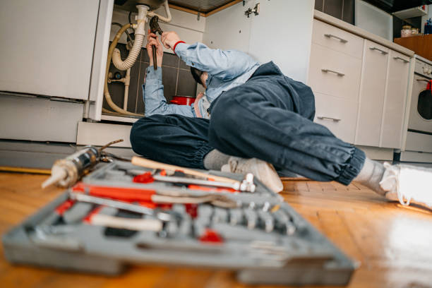 Best Plumbing Services Near Me  in Wanakah, NY